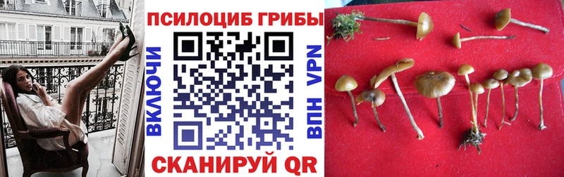 Псилоцибиновые грибы ЛСД  Купить где  Калининец 
